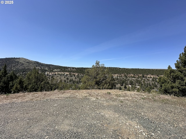 view of mountain feature