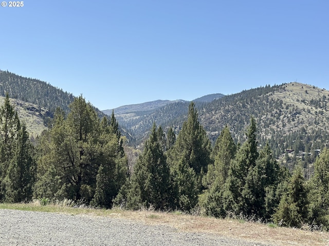 mountain view with a view of trees