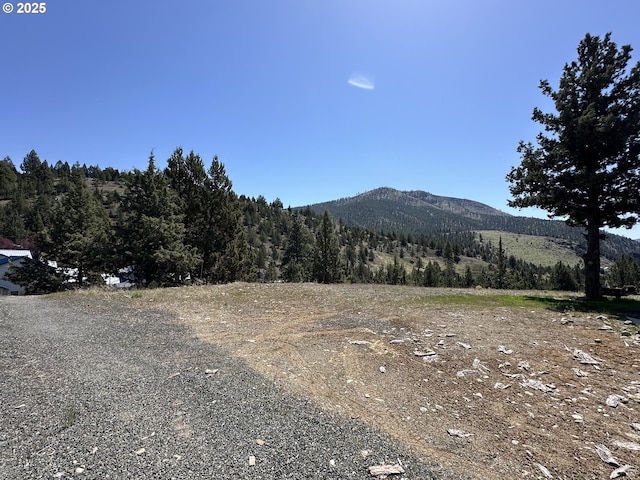 property view of mountains with a view of trees