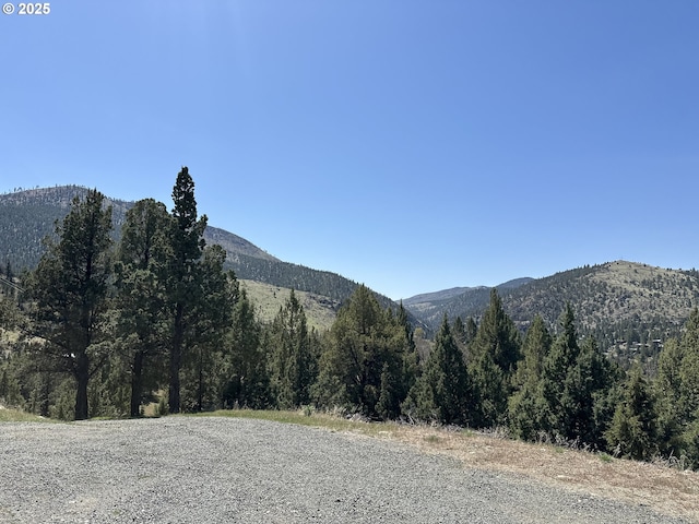 mountain view featuring a wooded view