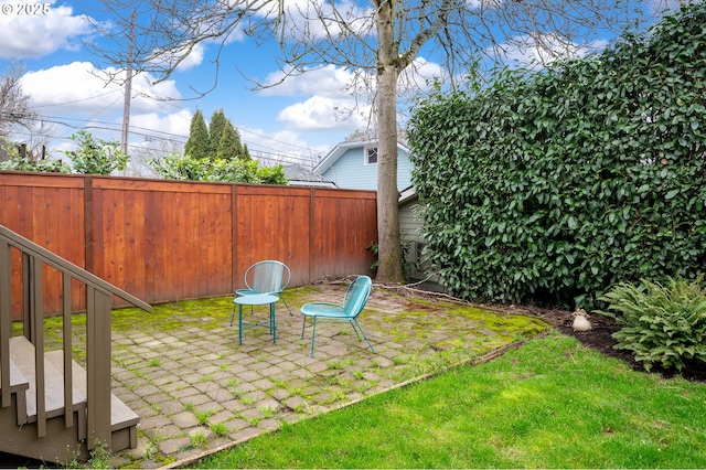 view of yard featuring a patio area