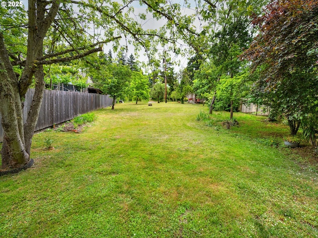 2625 Potter St, Eugene, OR 97405 - view of yard
