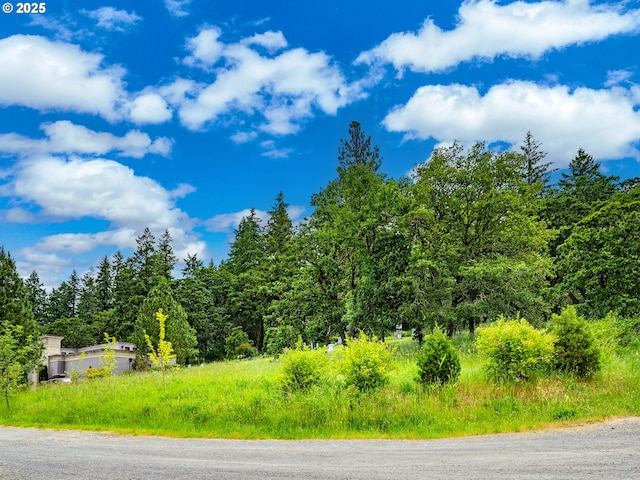 2625 Potter St, Eugene, OR 97405 - view of asphalt street with a forest view