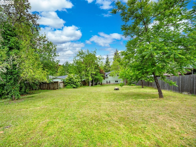 2625 Potter St, Eugene, OR 97405 - view of yard