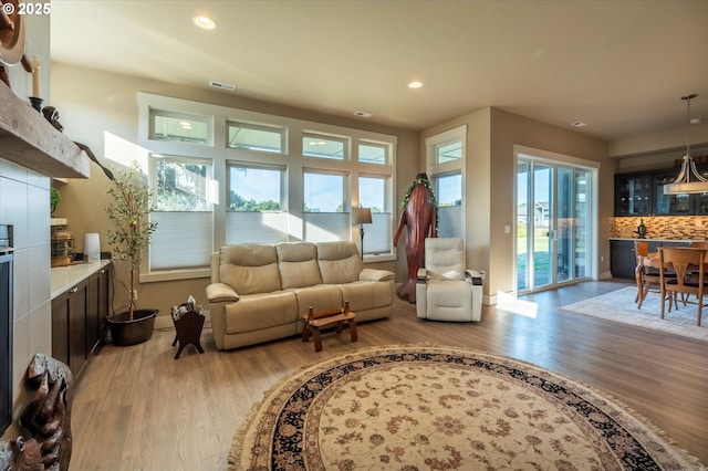 living room featuring light hardwood / wood-style flooring