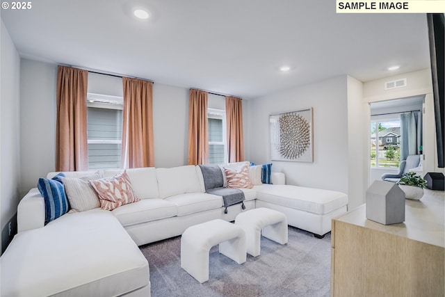 living room with carpet floors