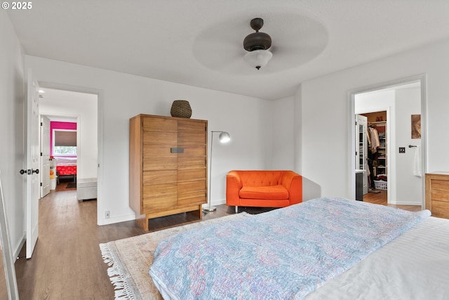 bedroom with dark wood-type flooring, a closet, ceiling fan, and a spacious closet