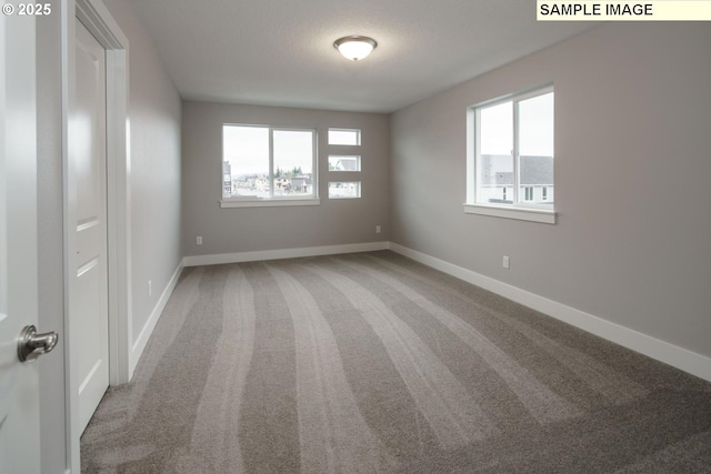 spare room featuring carpet flooring and a textured ceiling