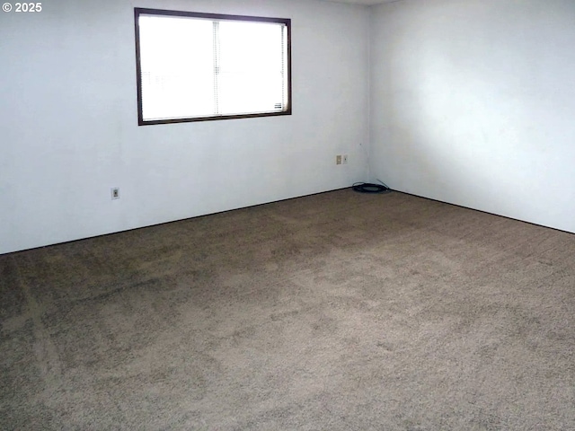 unfurnished room featuring carpet flooring