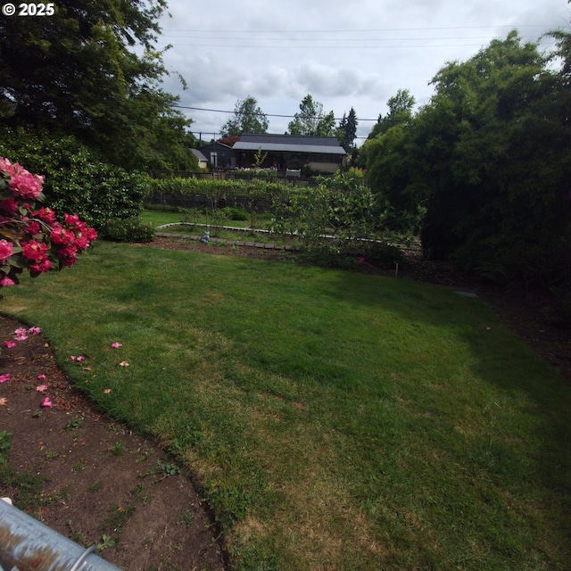 view of grassy yard
