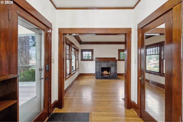 interior space featuring light hardwood / wood-style floors and crown molding