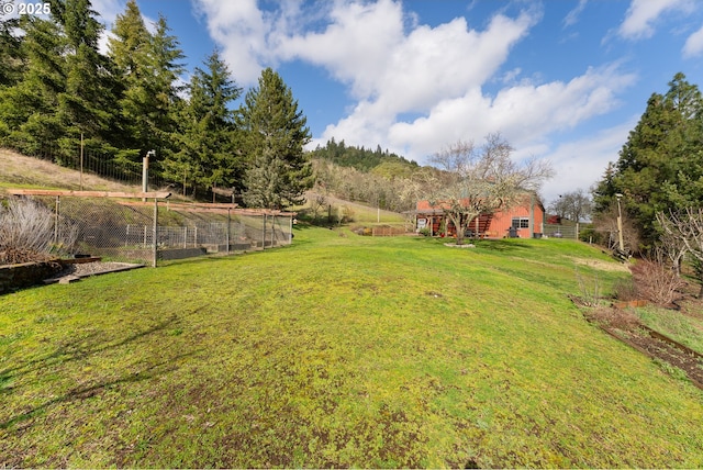 view of yard featuring a vegetable garden