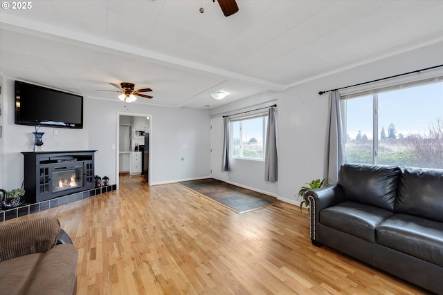 living room featuring a glass covered fireplace, ceiling fan, and wood finished floors