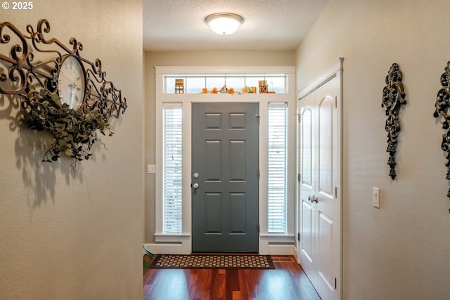 foyer entrance featuring hardwood / wood-style flooring