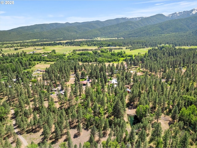 14955 Profitt Loop, Baker City, OR 97814 - view of mountain background with a heavily wooded area