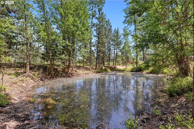 14955 Profitt Loop, Baker City, OR 97814 - water view