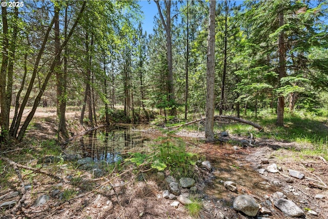 14955 Profitt Loop, Baker City, OR 97814 - view of undeveloped land