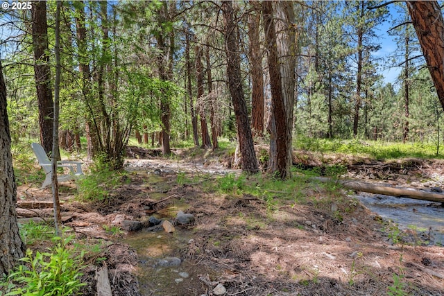 14955 Profitt Loop, Baker City, OR 97814 - view of nature