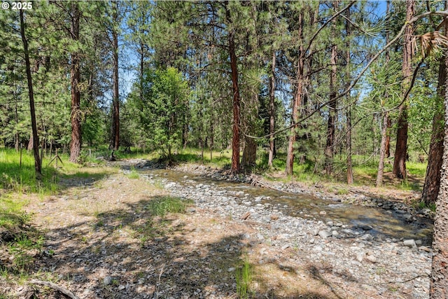 14955 Profitt Loop, Baker City, OR 97814 - view of nature