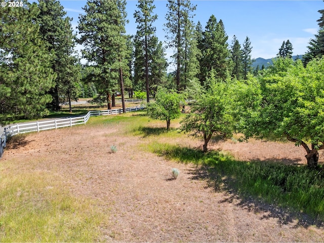 14955 Profitt Loop, Baker City, OR 97814 - view of yard featuring a mountain view