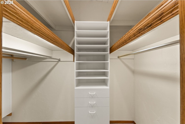 view of spacious closet