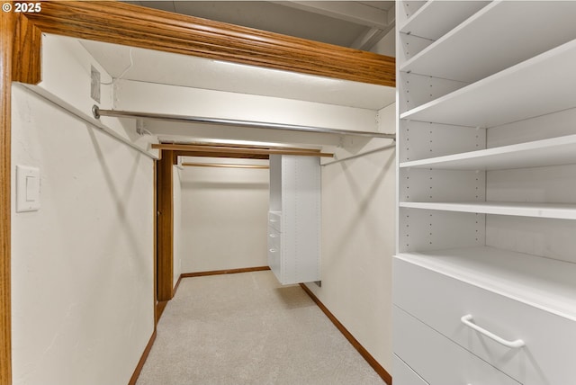 walk in closet with light colored carpet