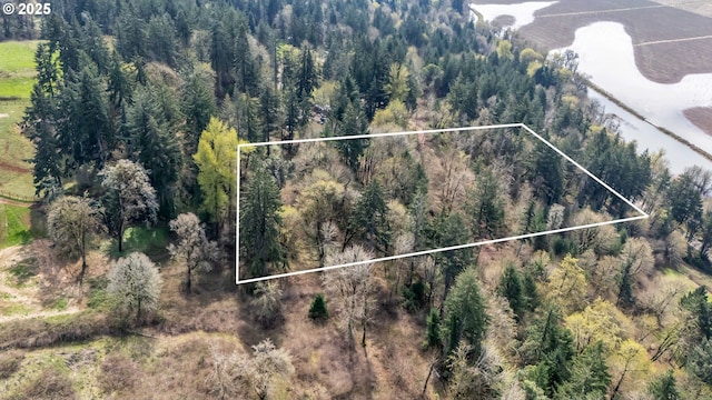 6596 River Rd, Salem, OR 97306 - birds eye view of property
