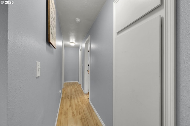 corridor with light wood-type flooring