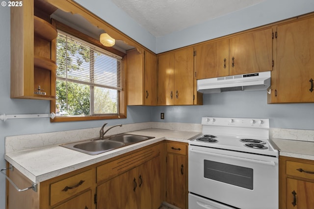 kitchen with electric range, under cabinet range hood, a sink, light countertops, and open shelves