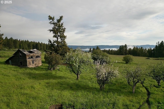 85388 Buford Rd, Enterprise, OR 97828 - view of wooded area featuring a view of countryside