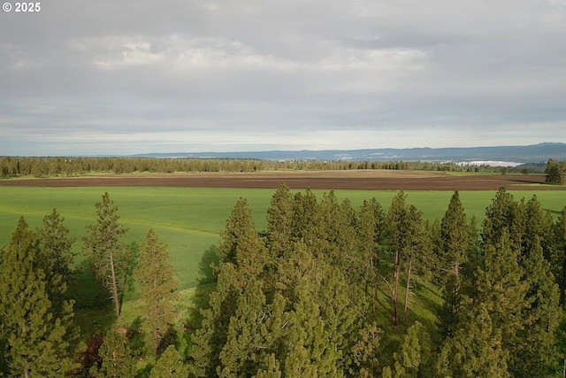 85388 Buford Rd, Enterprise, OR 97828 - water view