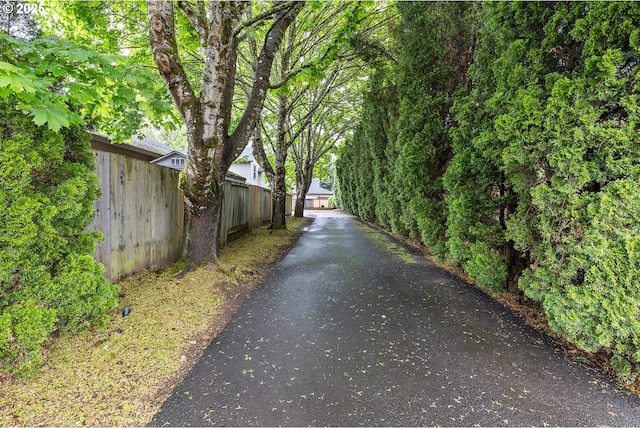 view of street with aphalt driveway