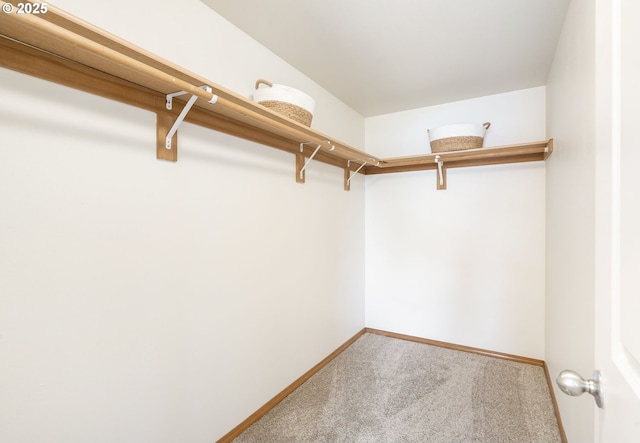 6837 SE 84th Ave, Portland, OR 97266 - walk in closet with carpet