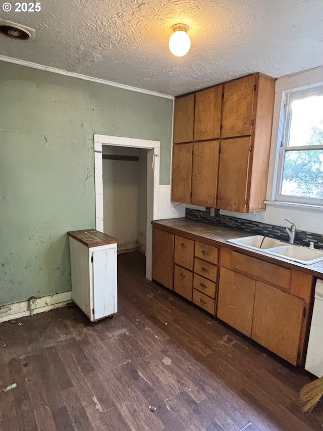 kitchen with dark wood-style flooring, a textured ceiling, brown cabinets, dishwasher, and a sink