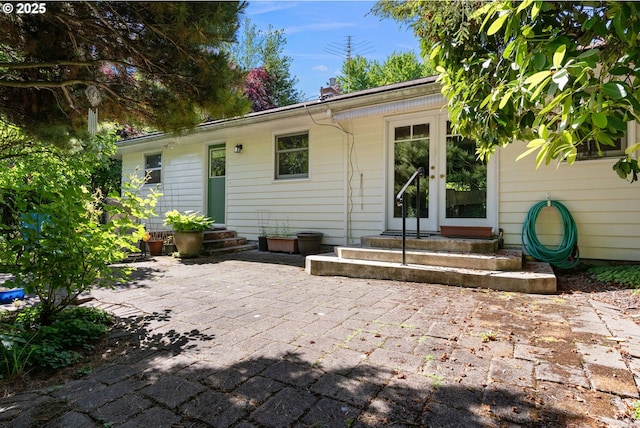 back of house featuring french doors, a patio area, and entry steps