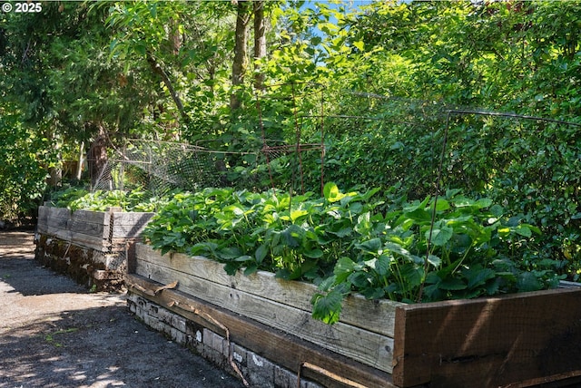 exterior details featuring a garden