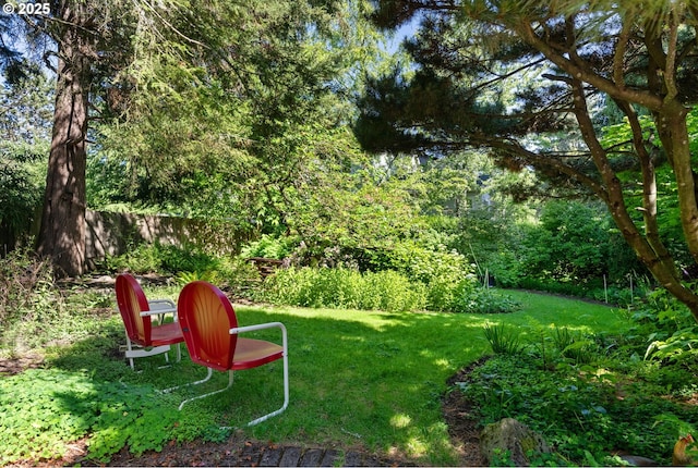 view of yard featuring fence