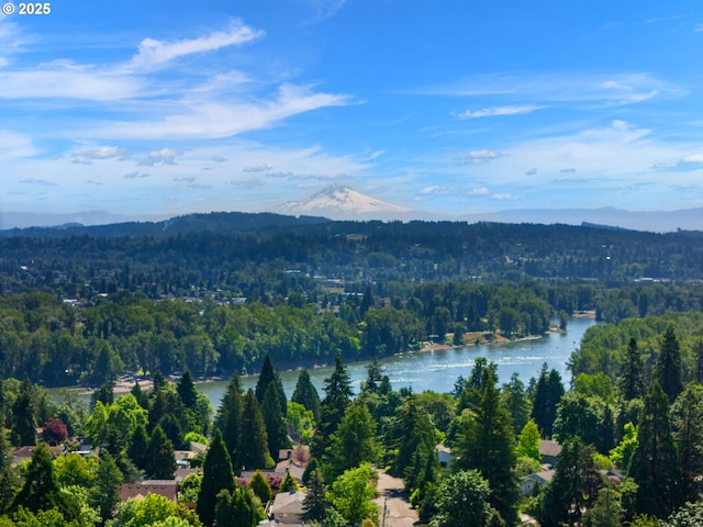 drone / aerial view featuring a view of trees and a water view