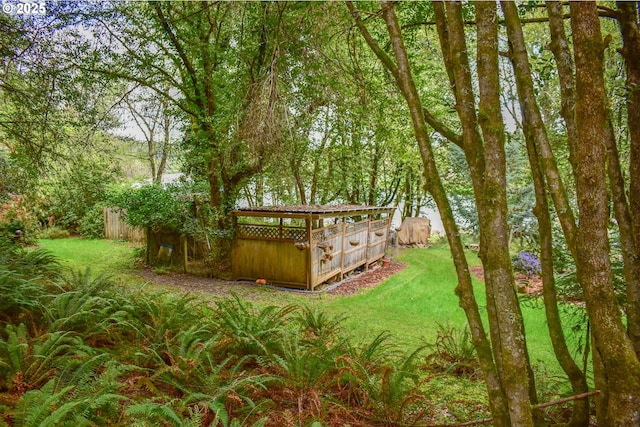 395 Rio Nes Ln, Roseburg, OR 97470 - view of green lawn