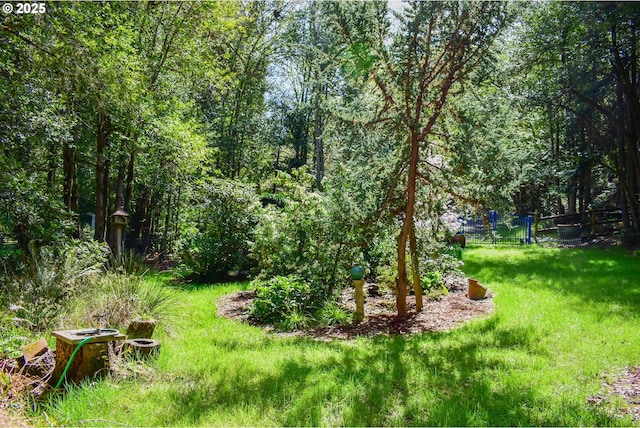 395 Rio Nes Ln, Roseburg, OR 97470 - view of yard