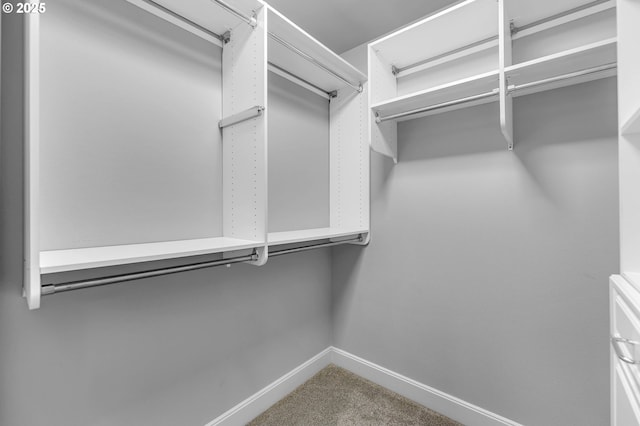 669 W T St, Washougal, WA 98671 - walk in closet featuring carpet floors