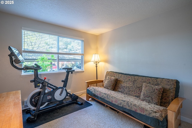 workout room featuring carpet flooring, a textured ceiling, and baseboards