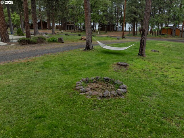 view of green lawn