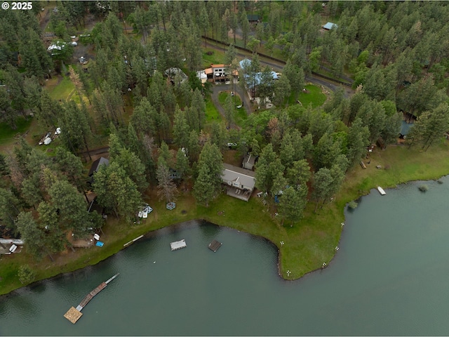 view of property location with a large body of water