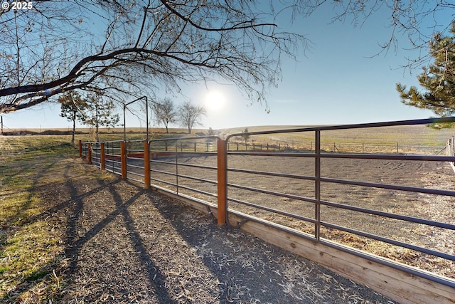 view of yard featuring a rural view