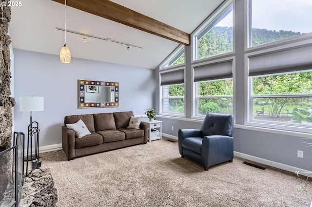 1543 NE Hyde St, Hillsboro, OR 97124 - carpeted living area with rail lighting and baseboards