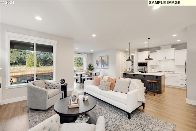 living room with light hardwood / wood-style floors