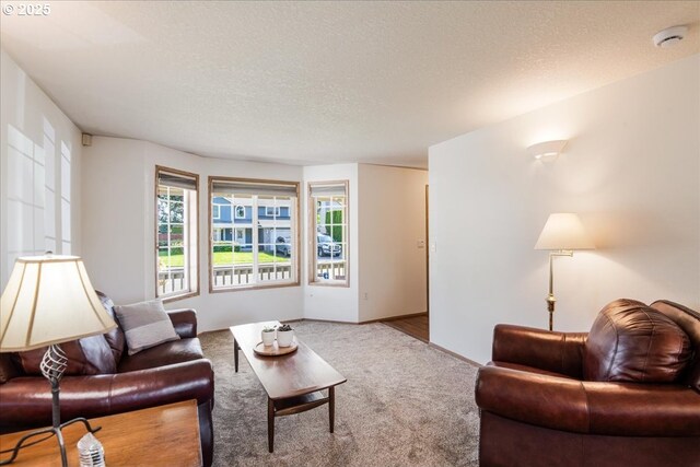carpeted living room featuring a textured ceiling