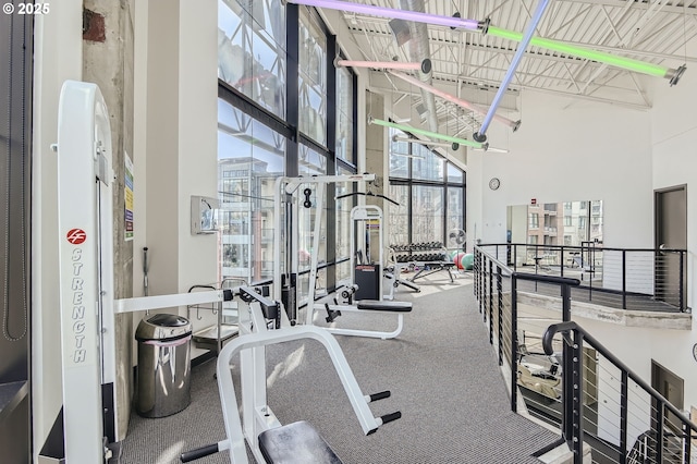 workout area with a high ceiling