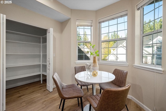 dining room with light hardwood / wood-style flooring